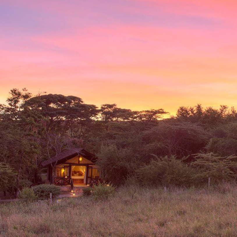 Magical Skies Tent Accomodation type