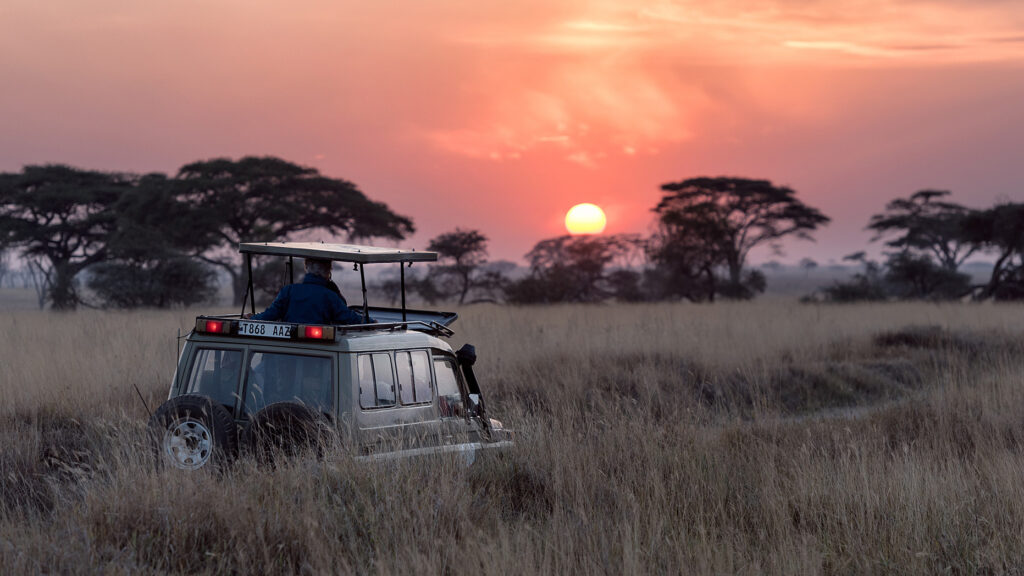 Safari Truck driving towards a beautiful red sunrise or sunset