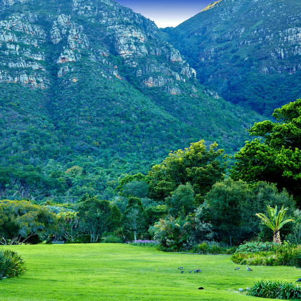green and lush land with high mountains of Cape Town