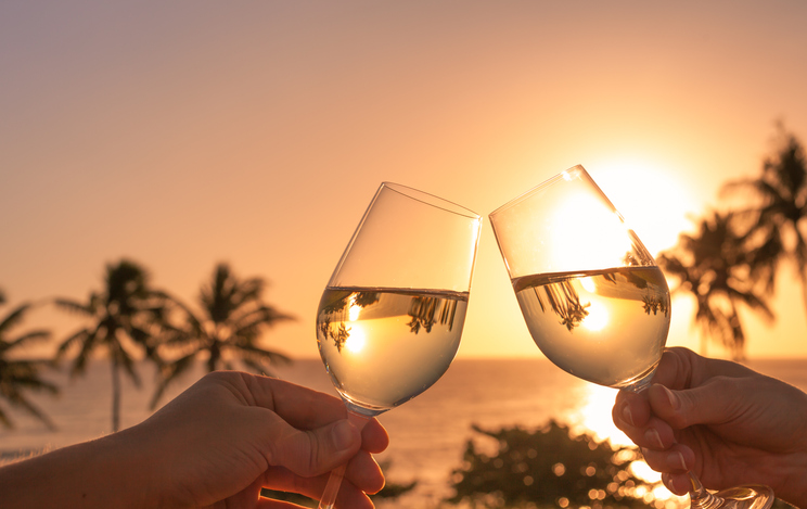 two people cheering their glasses with the sun setting behind them by the ocean with palm trees